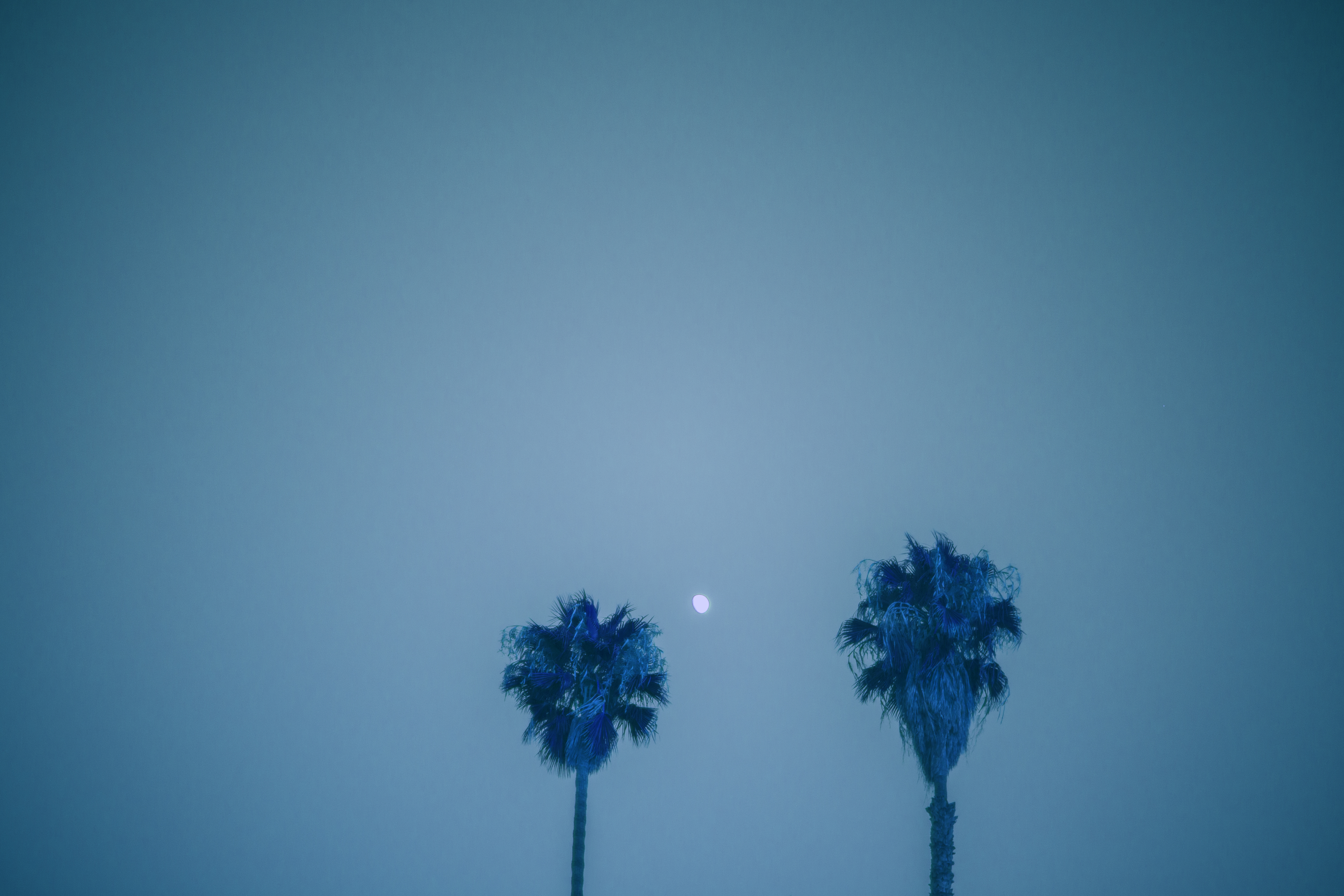 _MG_2778_5